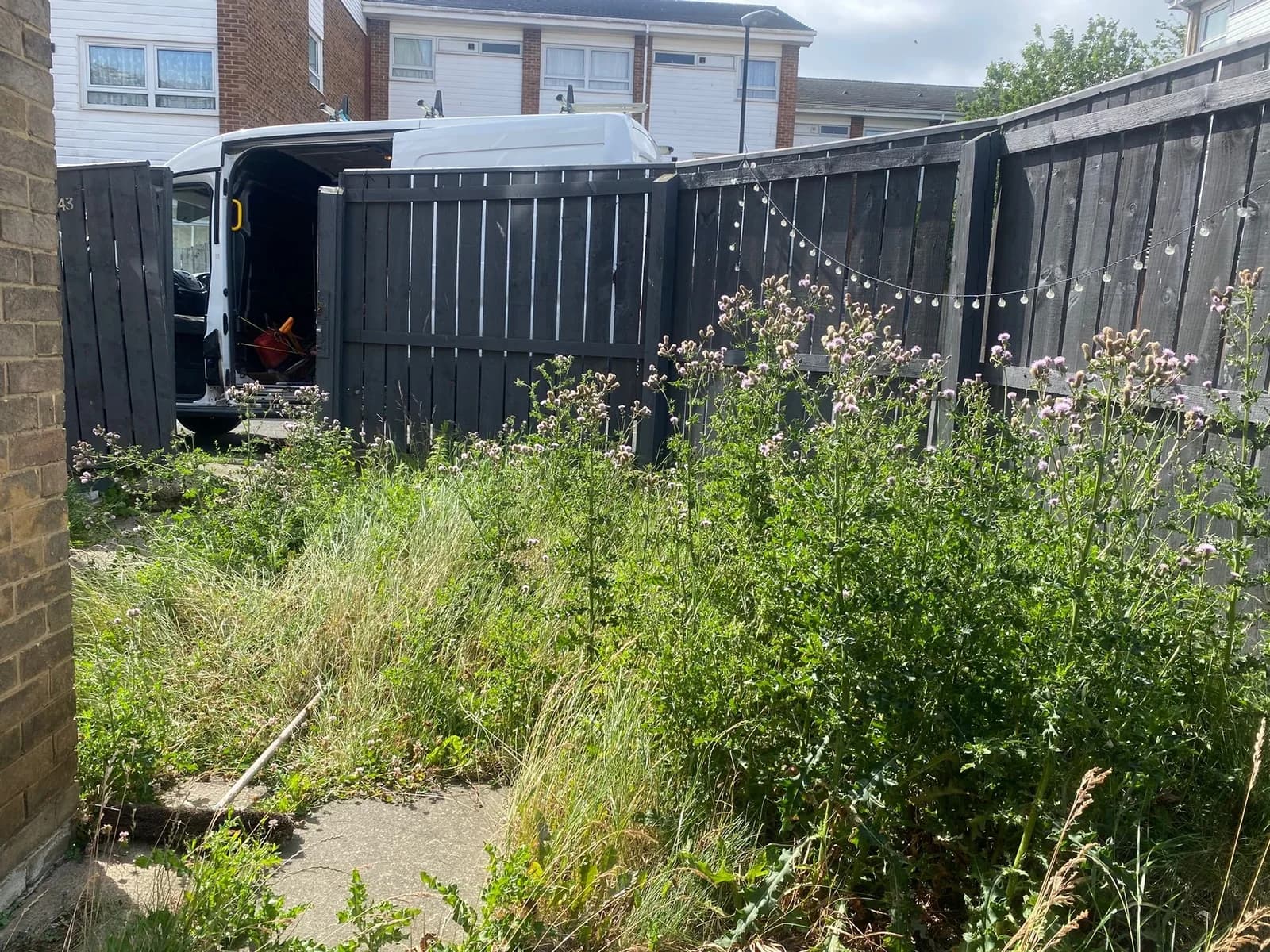 Before: the same small garden overgrown with tall weeds and long grass.